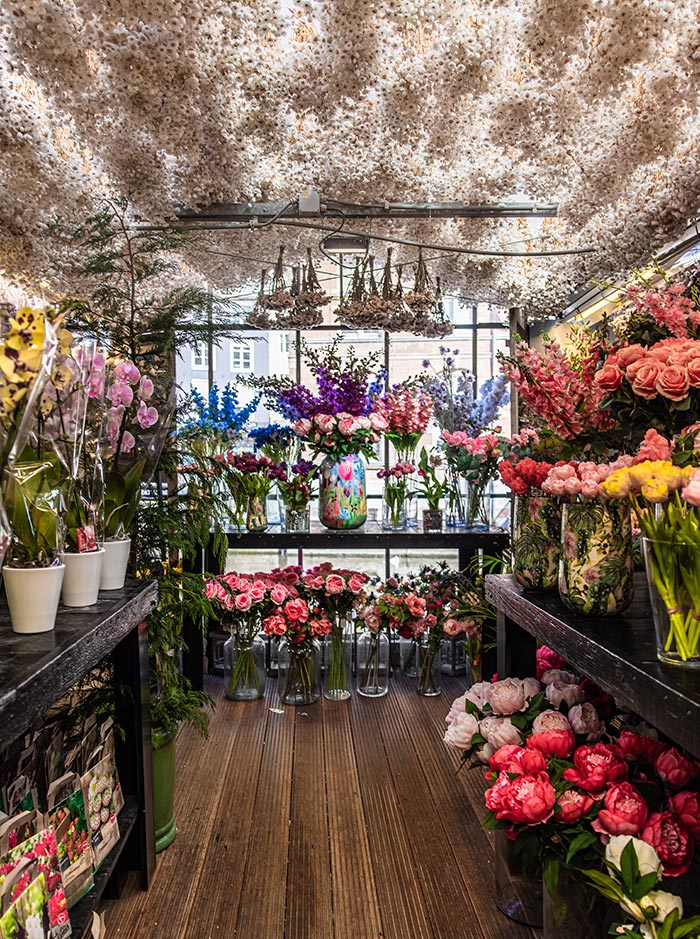 Interior of a flower stall at Amsterdam’s Bloemenmarkt, overflowing with vibrant floral arrangements in glass vases and ceramic pots. Roses, orchids, delphiniums, and peonies in pink, purple, and white hues fill the space, while a dreamy ceiling of dried white flowers and chandeliers adds a whimsical touch. Natural light streams in from the window at the far end, enhancing the cozy, romantic atmosphere.