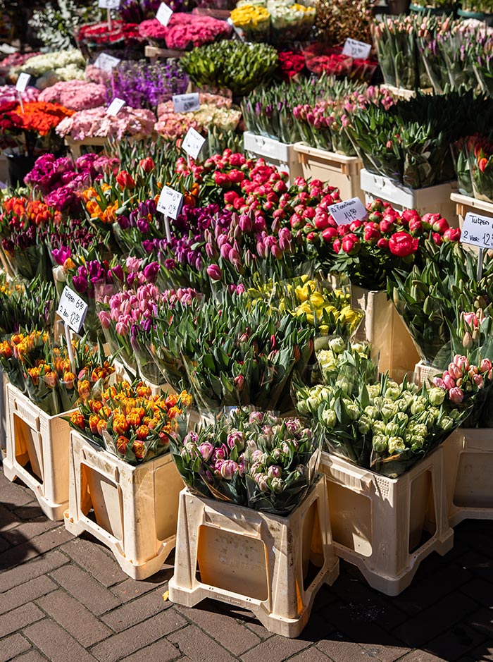 Colorful tulip bouquets for sale at the Bloemenmarkt in Amsterdam, neatly displayed in plastic crates on a sunlit brick pavement. The vibrant array includes shades of red, yellow, orange, pink, and white, with small price signs marking each bunch. A cheerful, classic snapshot of the city’s famous floating flower market.