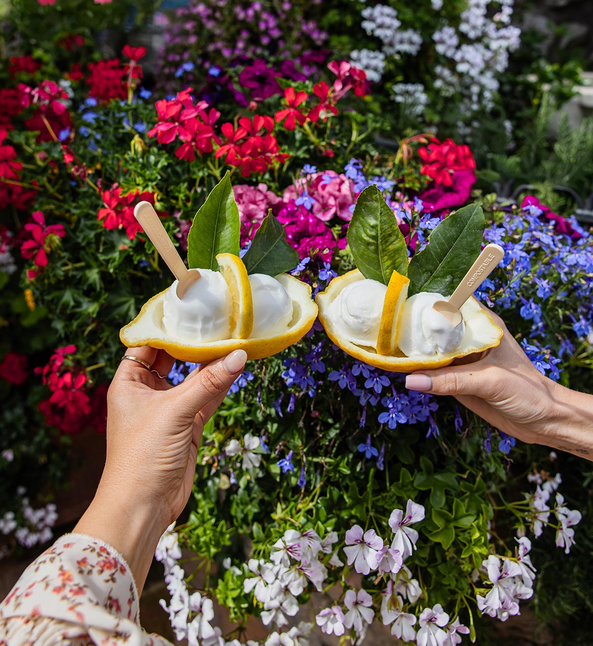 Two hands holding lemon sorbet served in halved lemon rinds, garnished with lemon slices and green leaves, against a vibrant background of blooming red, pink, purple, and white flowers in Capri, Italy.






