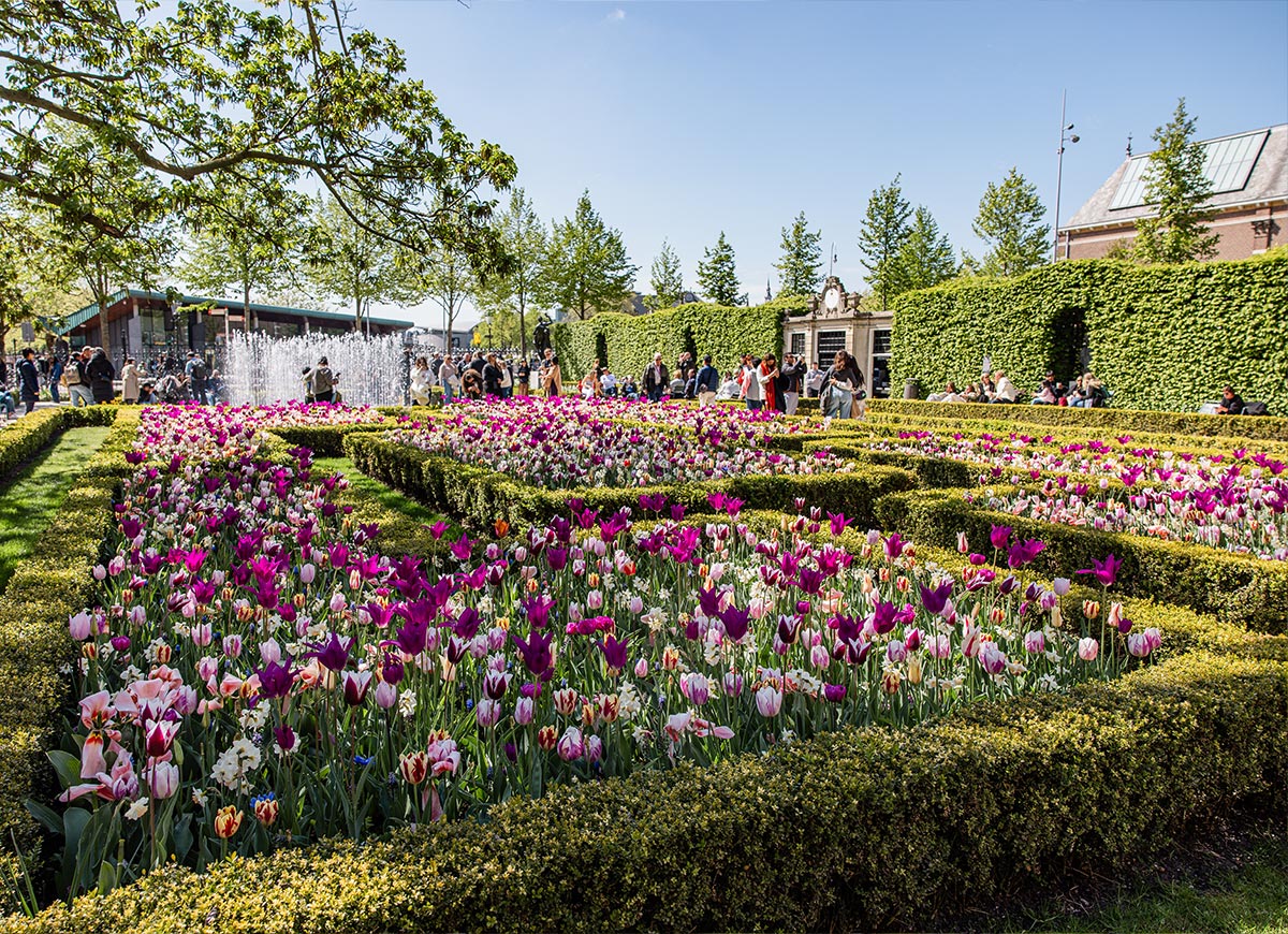 Beautiful springtime tulip beds in full bloom at the Rijksmuseum gardens in Amsterdam, bordered by neatly trimmed hedges. Visitors stroll and relax near a sparkling water fountain under a clear blue sky.








