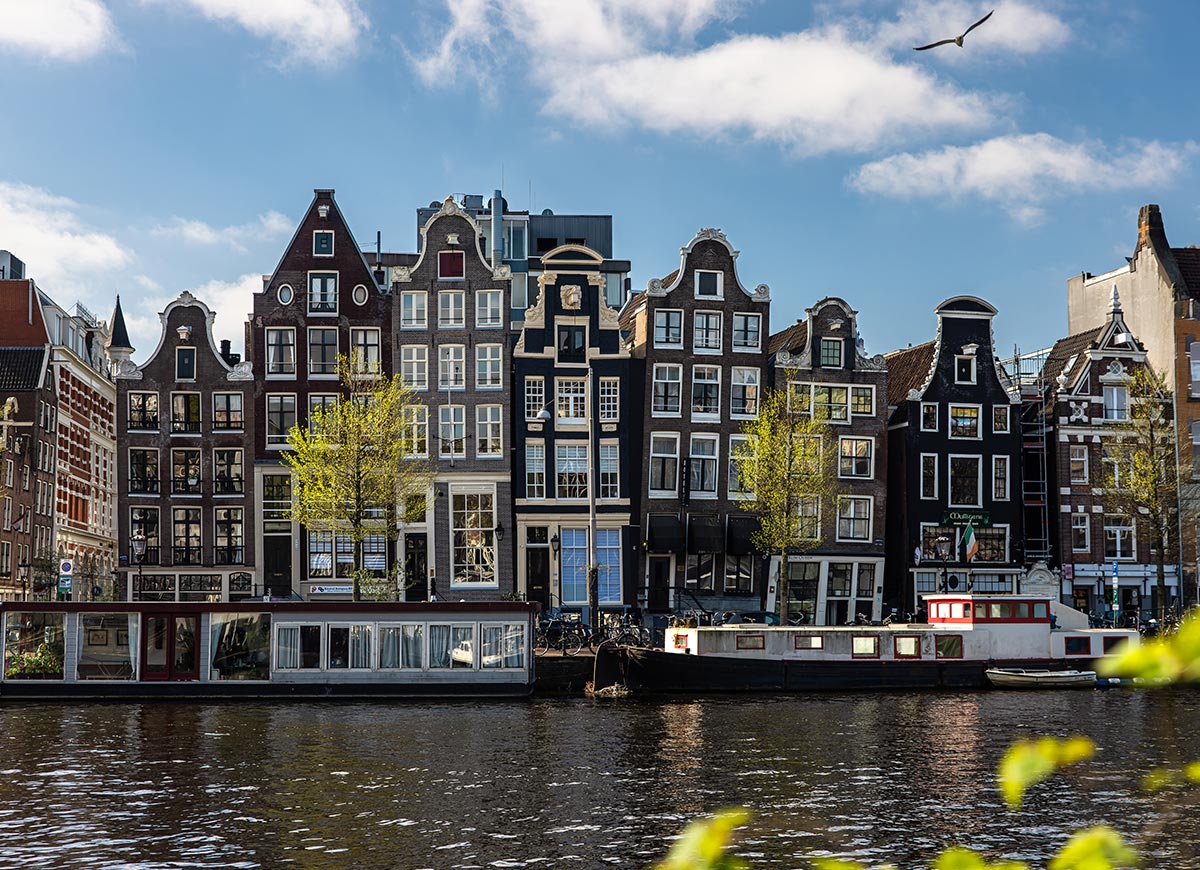 A row of Amsterdam’s famous “dancing houses” along the canal, showcasing narrow, tilted façades with ornate gables and large windows reflecting in the water. Houseboats are moored along the canal beneath a blue sky with a seagull soaring overhead.