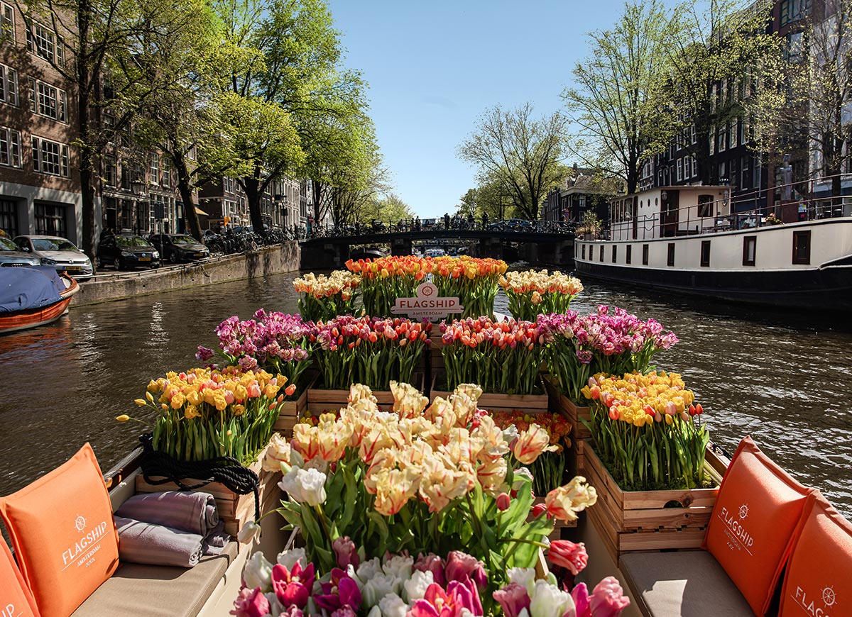Tulip-filled boat cruise by Flagship Amsterdam gliding through a sunny canal lined with historic buildings and lush green trees. The boat is adorned with crates of colorful tulips in shades of pink, yellow, orange, and white, creating a vibrant floating garden. Orange cushions and blankets add comfort for passengers enjoying the scenic floral ride.


