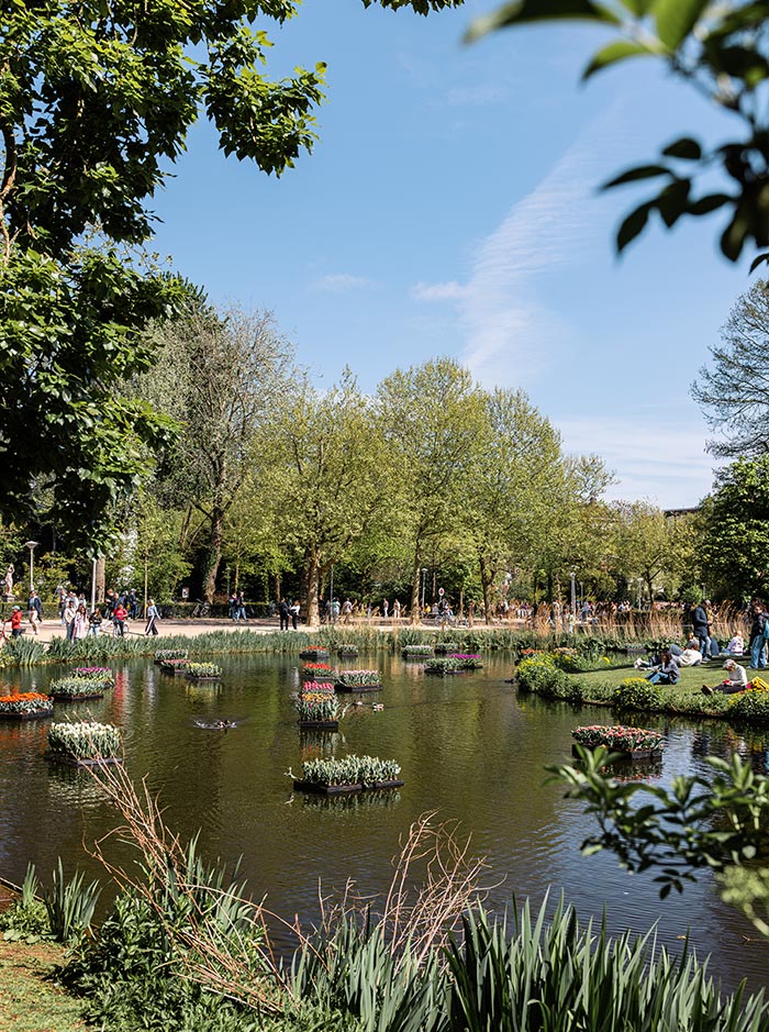 Colorful tulip arrangements float on a peaceful pond in Vondelpark, Amsterdam, surrounded by lush greenery and blooming plants. People stroll and relax along the water’s edge under a clear blue sky, enjoying the springtime atmosphere. The vibrant tulips in floating beds create a striking contrast against the natural backdrop.