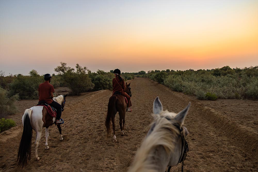 Two horseback riders wearing helmets ride along a sandy desert trail surrounded by green shrubs at sunset. The view from a third horse shows its white ears in the foreground as the group rides toward the orange and pink evening sky.