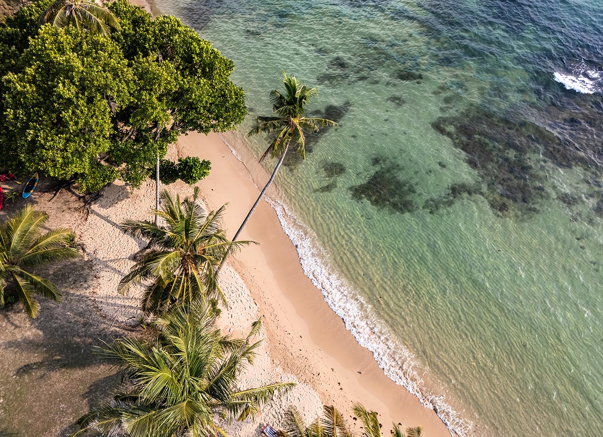 Quiet sandy beach lined with tall leaning palm trees casting shadows along the shore. Clear turquoise water gently meets the sand with lush green hills in the distance under a bright sky.
