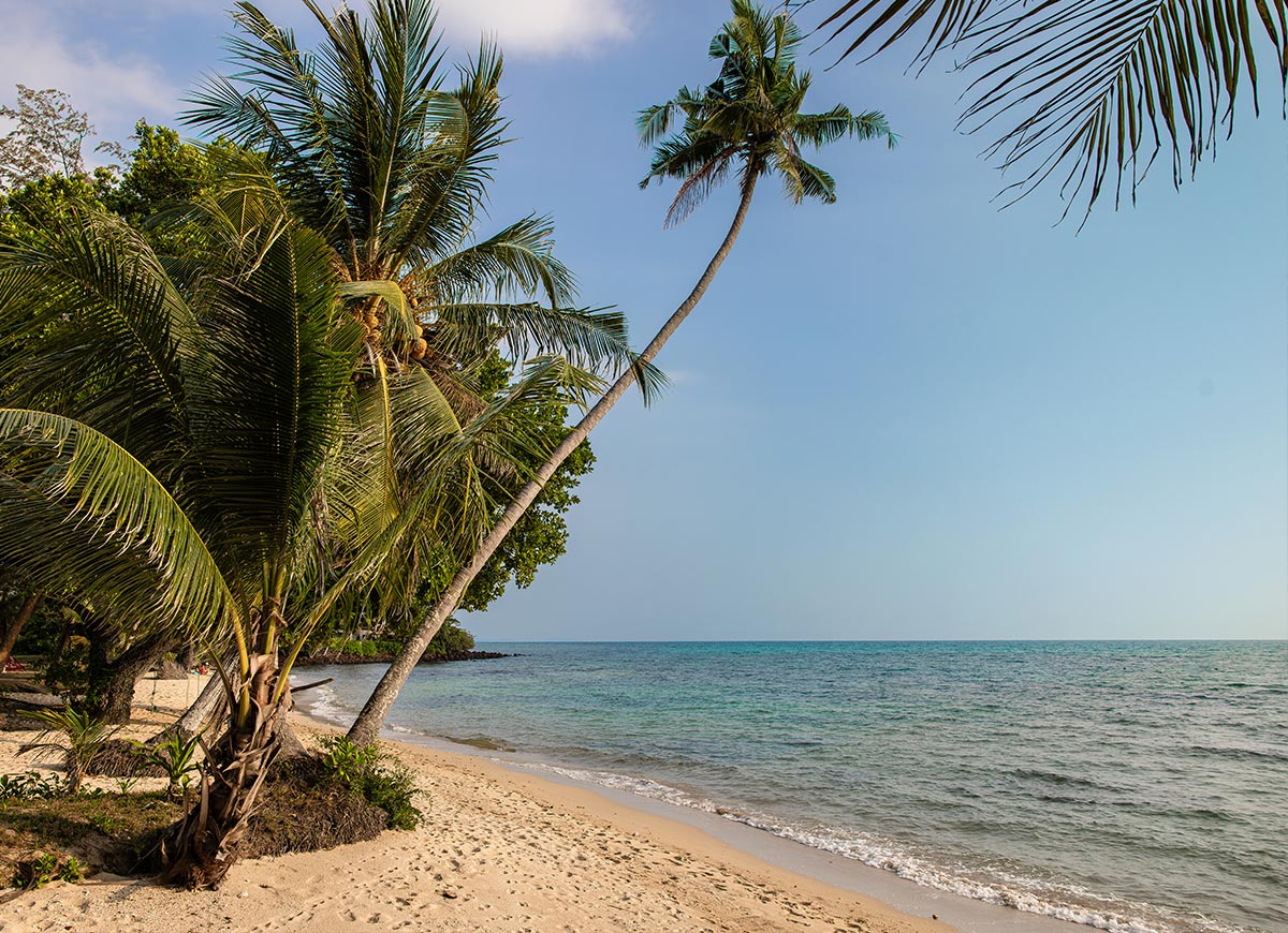 Quiet sandy beach lined with leaning palm trees and gentle waves along the shoreline. Clear blue water stretches to the horizon under a soft sky, creating a calm tropical atmosphere.