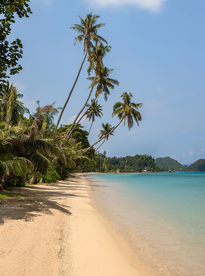 Quiet sandy beach lined with tall leaning palm trees casting shadows along the shore. Clear turquoise water gently meets the sand with lush green hills in the distance under a bright sky.