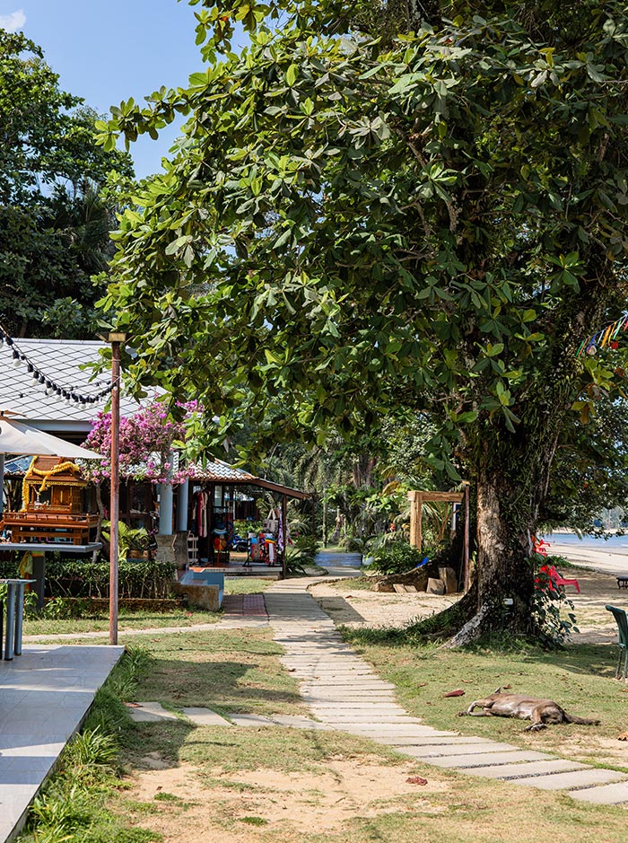 A shaded garden path lined with stepping stones winds past a small beachside building and lush greenery, with colorful flowers and a large leafy tree overhead. A dog lies resting on the grass while the sandy shoreline and ocean are visible in the background.