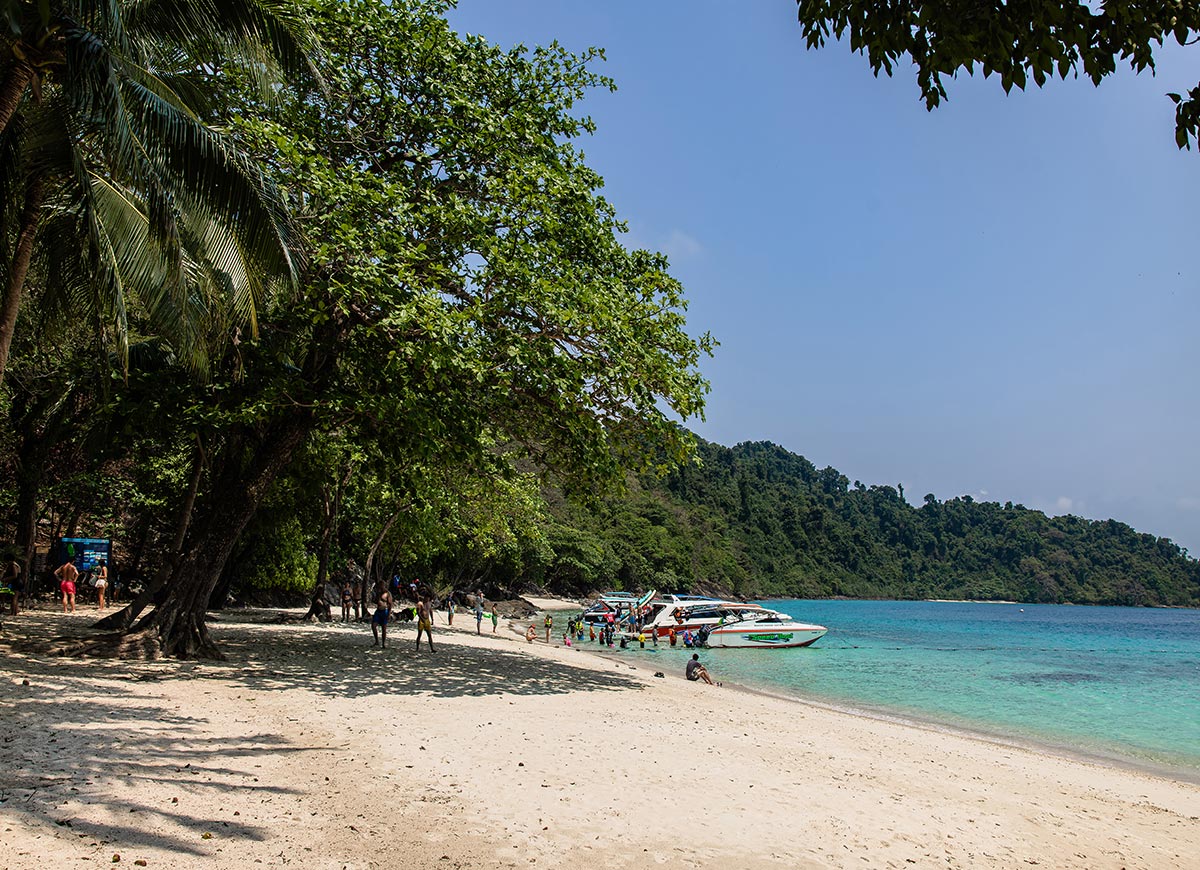 Wide sandy beach lined with lush green trees and shade, with people walking and relaxing along the shore. Speedboats are docked in clear turquoise water near a forested hillside under a bright blue sky.