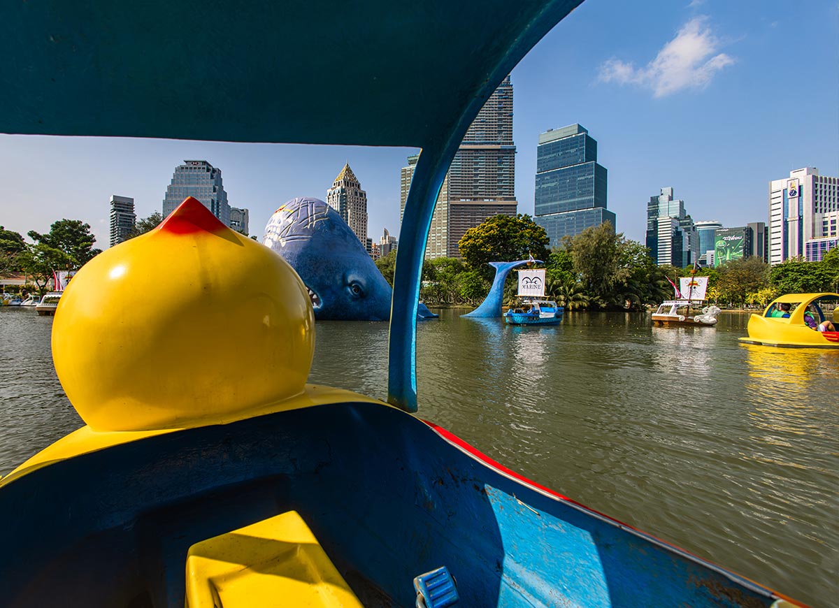 View from inside a yellow duck pedal boat looking out over a lake with playful animal shaped boats and large whale sculptures in the water. City skyscrapers rise in the background beyond the park’s greenery. The perspective highlights a fun, family friendly boating experience within an urban setting.