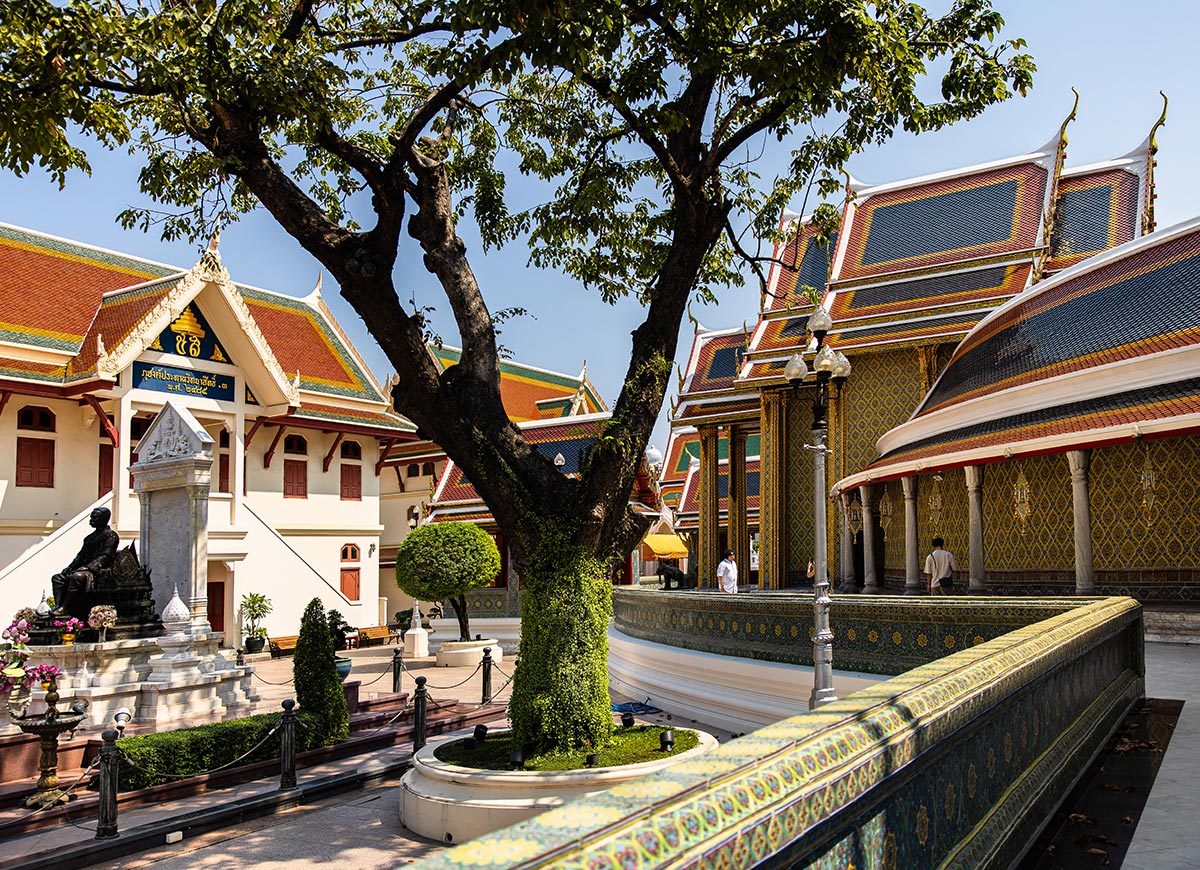 Ornate Thai temple buildings with colorful tiled roofs and gold detailing frame a peaceful courtyard centered around a large leafy tree. A statue and neatly trimmed shrubs line the walkway, while a few visitors walk along the temple grounds on a bright sunny day.