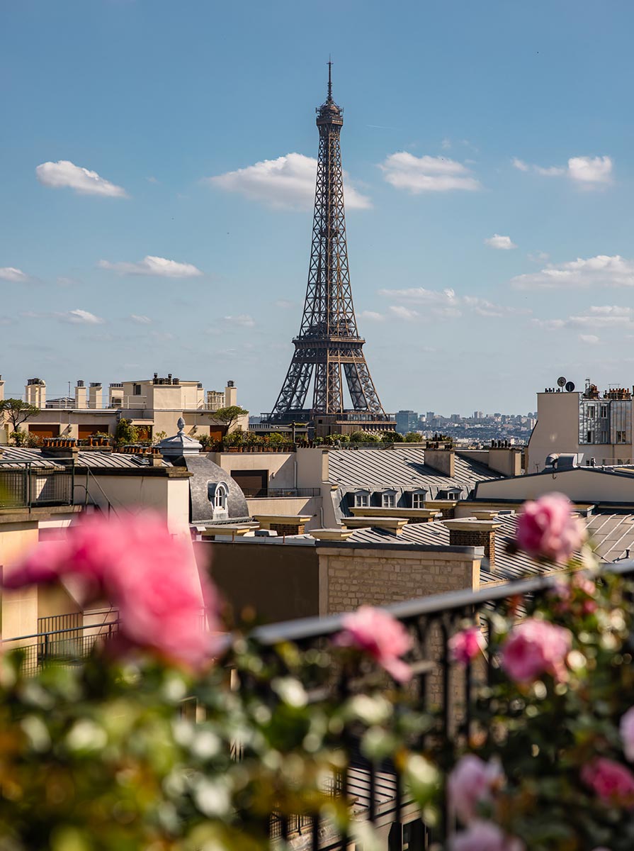 Eiffel Tower rising above Paris rooftops on a clear day, viewed from a terrace with soft pink flowers blurred in the foreground. The scene highlights the iconic landmark framed by elegant city architecture and a bright blue sky.